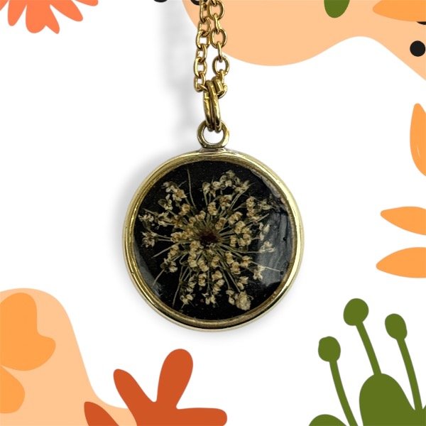 Producto - Zanahoria silvestre - Bronce - 0
