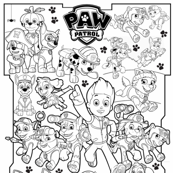 Producto - Lonita para pintar "Paw Patrol"