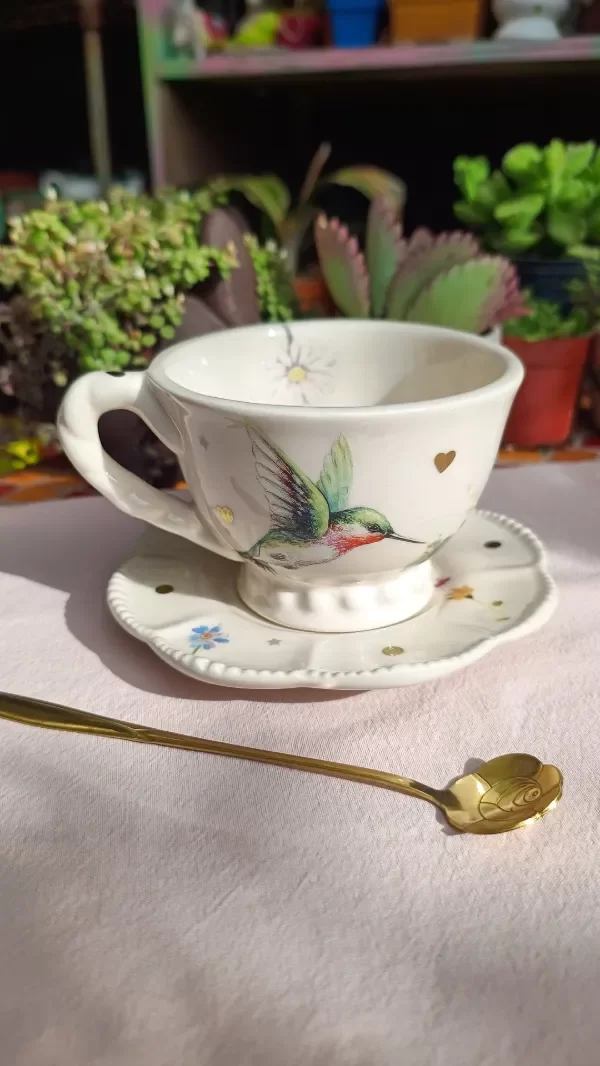 Producto - Set Colibrí #1