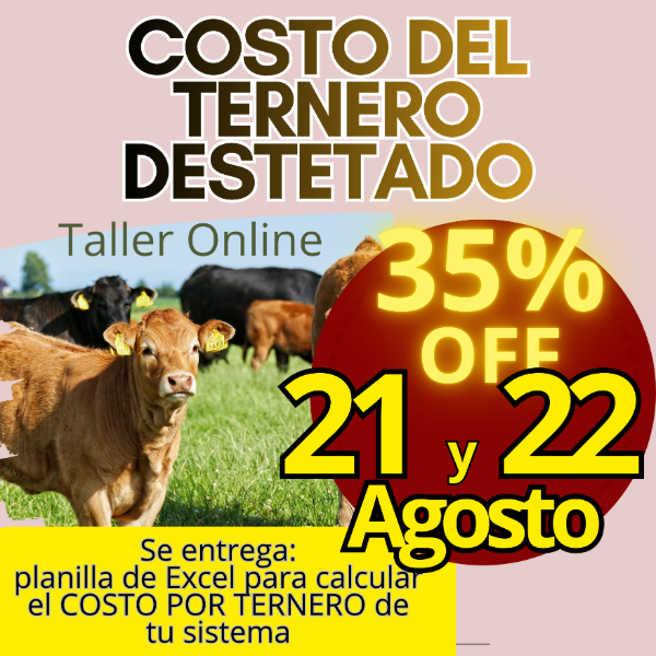 Producto - Taller Online: Costo del Ternero