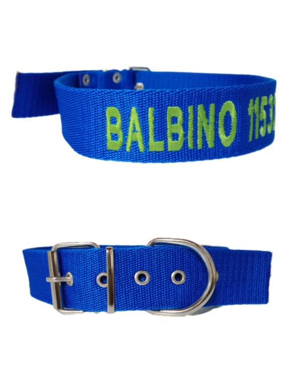 Producto - Collar de identificación y paseo tradicional RAZAS GRANDES