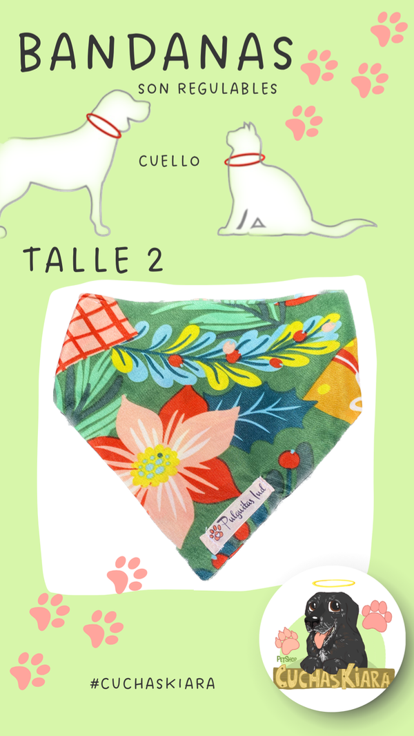 Producto - Bandanas Talle 2