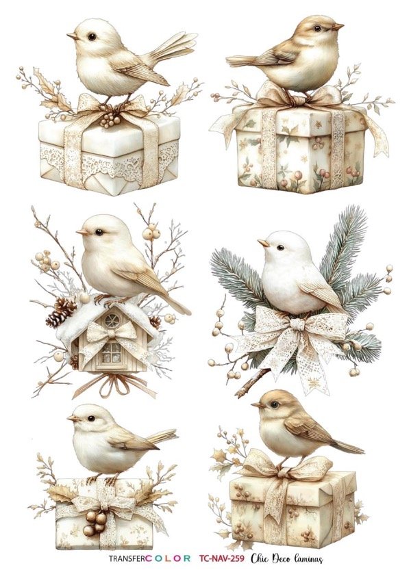 Producto - TransferCOLOR A4 TC 259