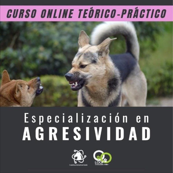 Producto - Curso de ESPECIALIZACIÓN EN AGRESIVIDAD