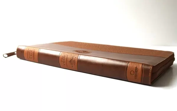 Producto - BIBLIA REINA VALERA 1960 MARRON LETRA 12