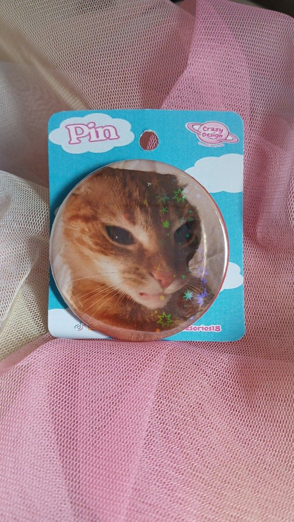 Producto - Pin michi enojado