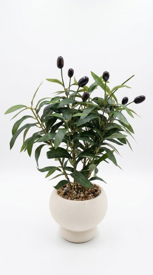 Producto - PLANTA MACETA PLASTICA OLIVO 40 cm.