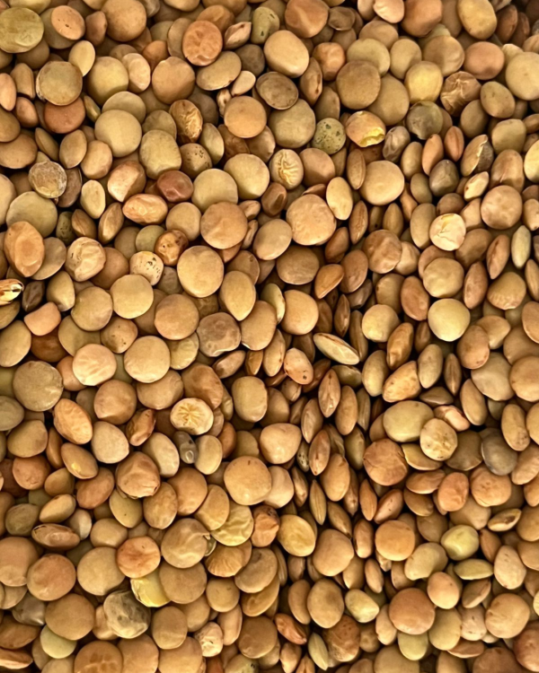 Producto - Lentejas 500g