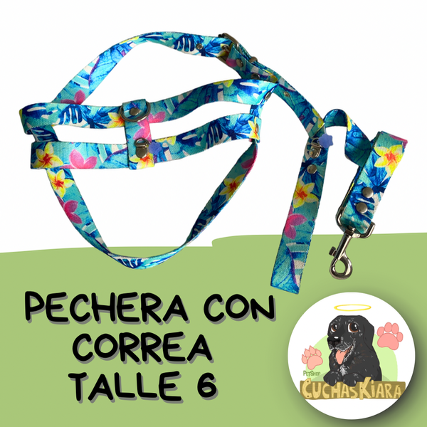 Producto - Pechera y Correa Talle 6