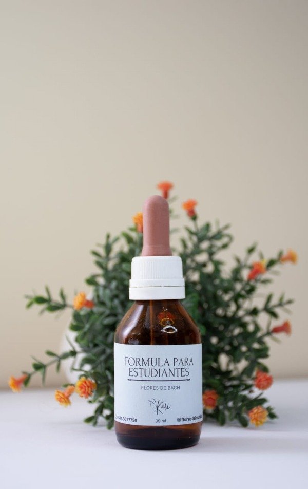 Producto - FORMULA PARA ESTUDIANTES