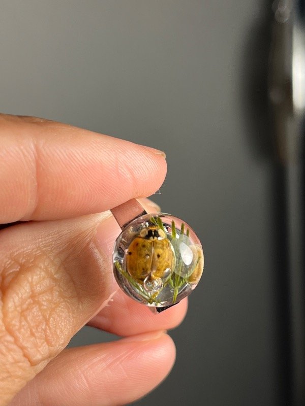 Producto - Anillo 11 vaquita de san antonio