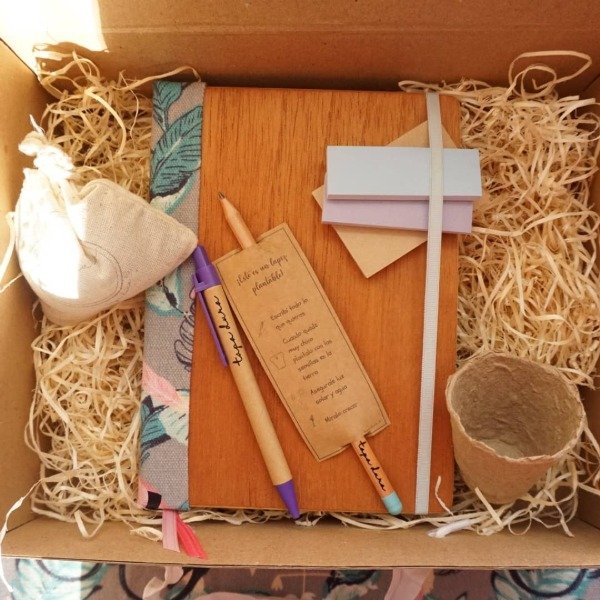 Producto - Kit plantable