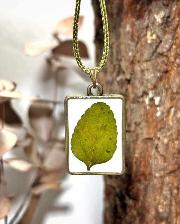 Producto - Dije Menta