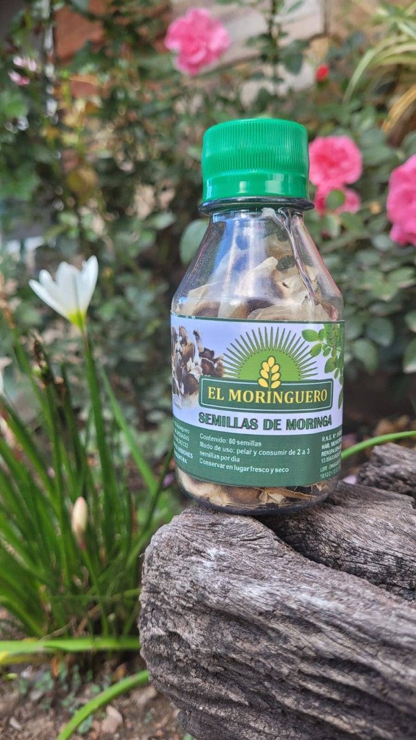 Producto - Semilla de Moringa x 60 semillas