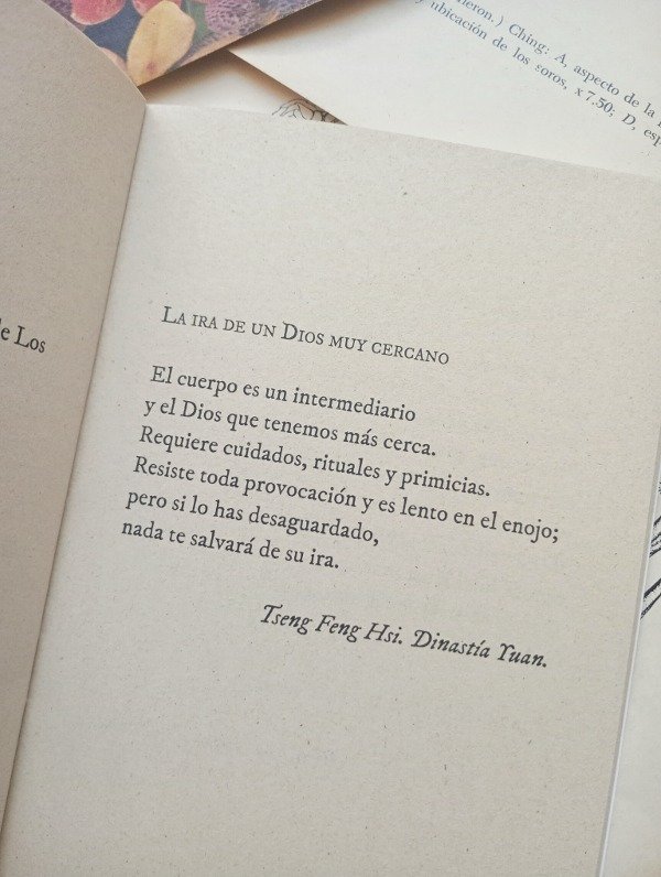 Producto - (ALGUNOS) POEMAS CHINOS de ALBERTO LAISECA - 2