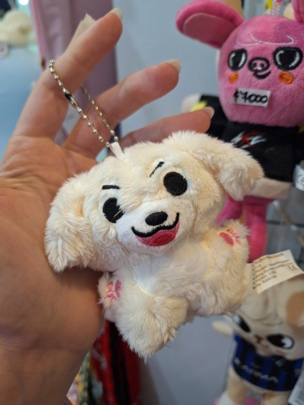 Producto - Peluche colgante enhypen enchin - 1