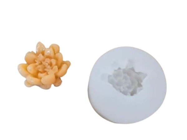 Producto - MOLDE SILICONA SUCULENTA4