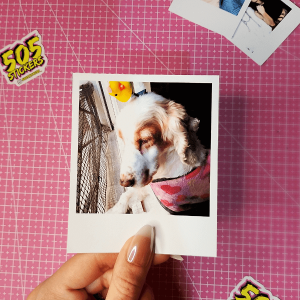 Producto - Polaroid Original