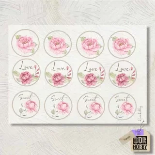 Producto - Transfolex color (plancha) 017