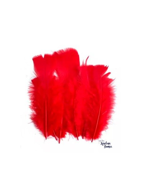 Producto - Plumas Rojas por 10 Unidades
