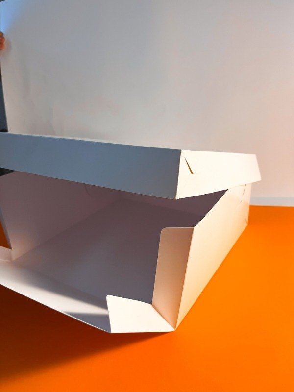 Producto - Caja sin visor 20x20x10 (10u)