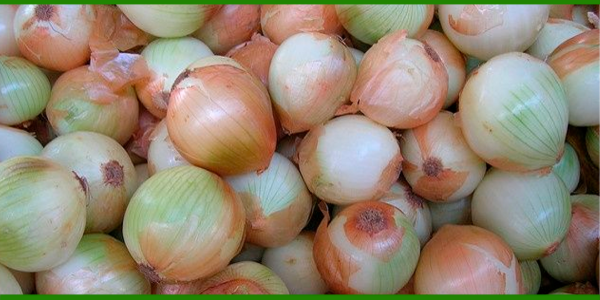 Producto - Cebolla agroecológicas de La Milpa x 1 kg o bolsa de 10 kg