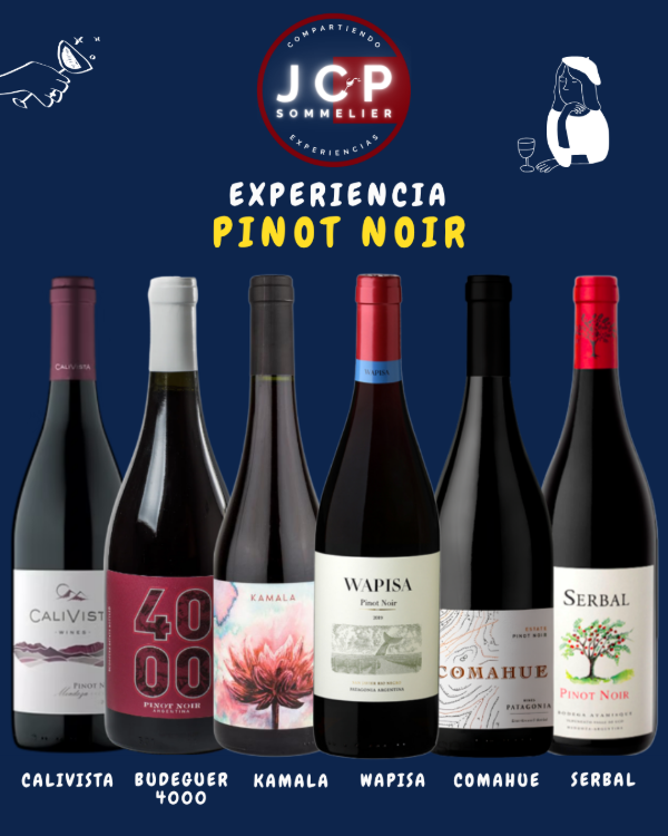 Producto - PINOT NOIR