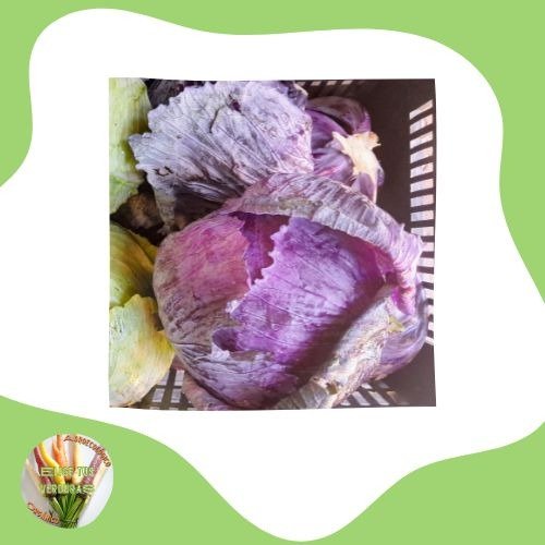 Producto - Repollo colorado - 1 unidad