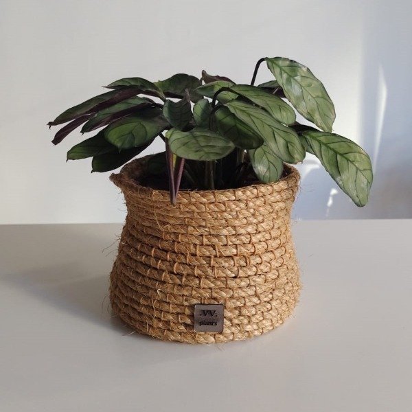 Producto - Formas