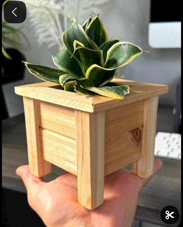 Producto - Macetero Iván