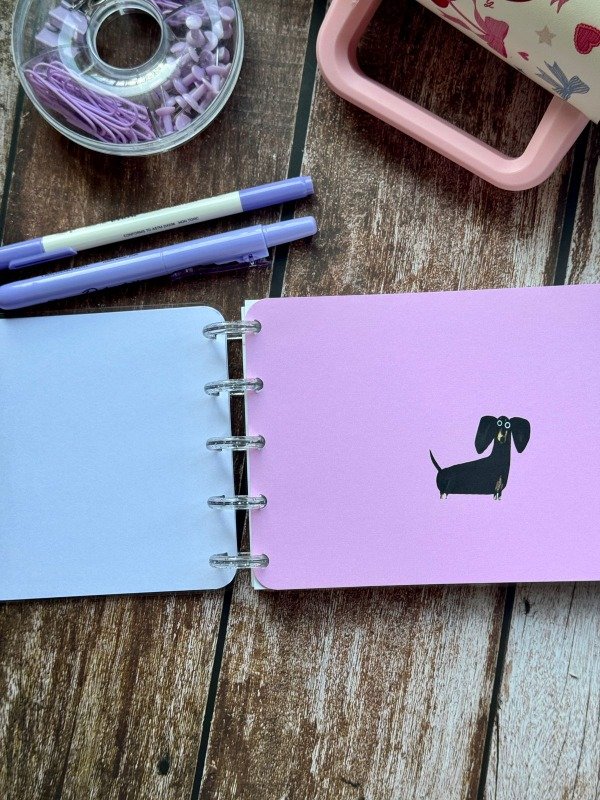 Producto - Fichero salchi