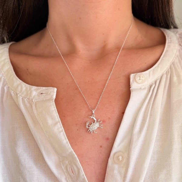 Producto - Conjunto Cangrejo (CD294)