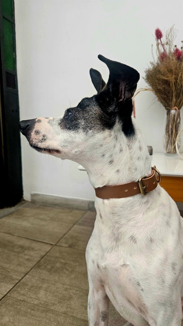 Miniatura de producto - 12