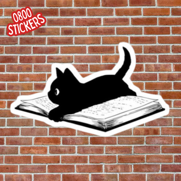 Producto - Gatito - GV142