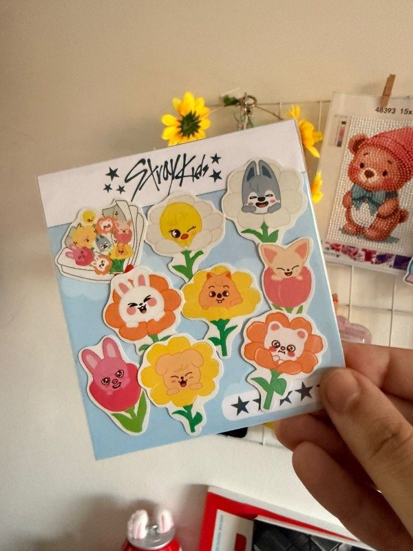 Producto - pack stray kids flor