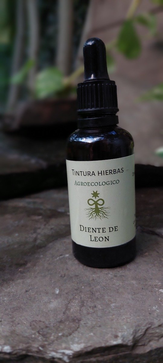 Producto - Diente de León agroecologico