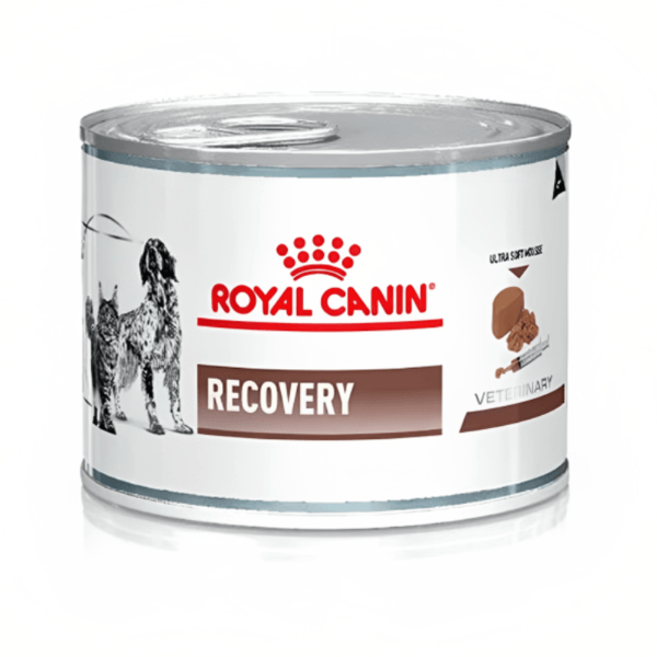 Producto - Royal canin recovery x195grs