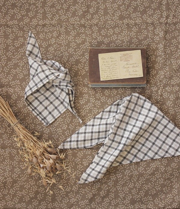 Producto - Set de 2 Badanas o Pañuelos "Texas"