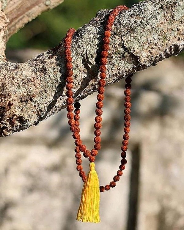 Producto - Japa Mala Con Semilla Rudrakshas De India