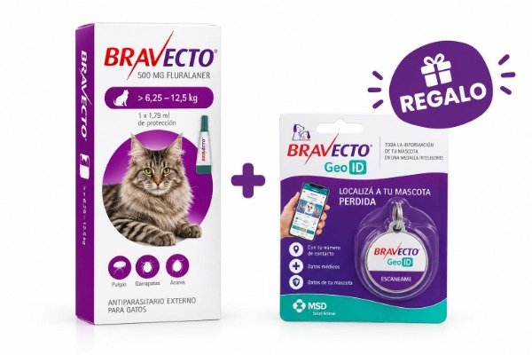 Producto - BRAVECTO GATOS 6,25KG A 12,5KG pipeta 3 meses de duracion