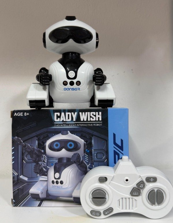 Producto - Robot interactivo Cady Wish