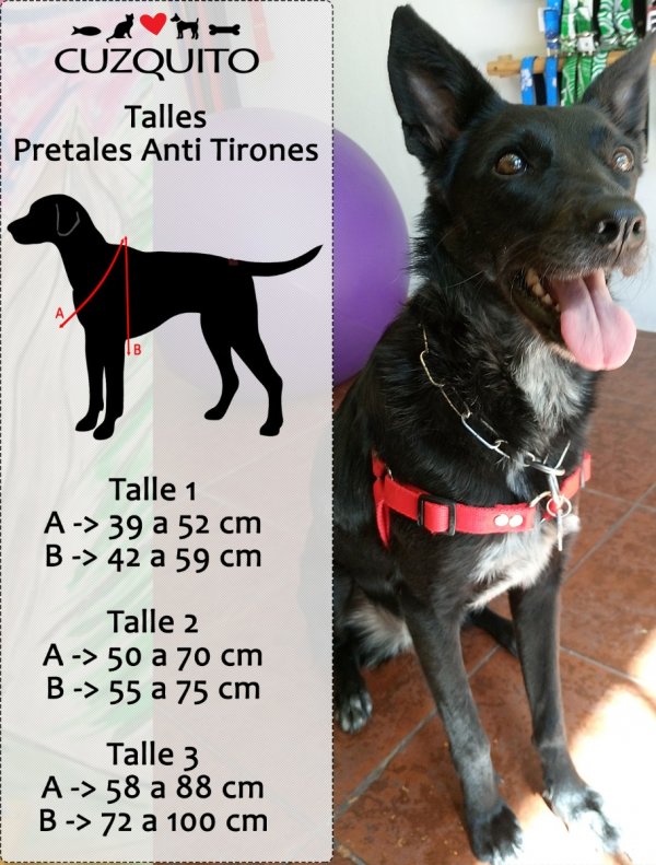 Imagen de producto - 4