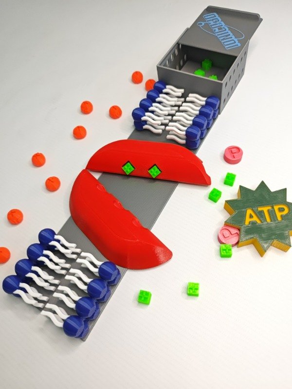 Producto - Bomba Sodio Potasio