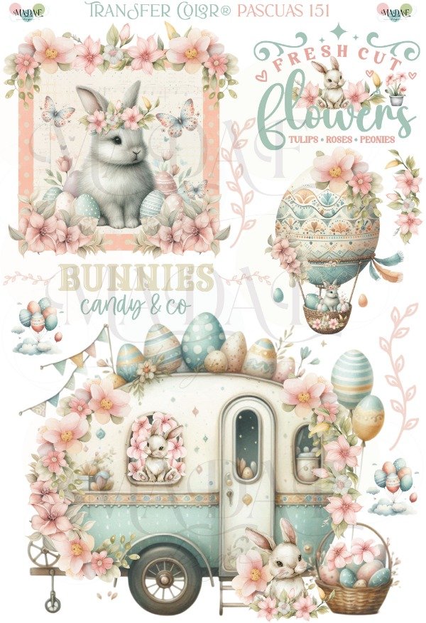 Producto - TRANSFER COLOR A4 151