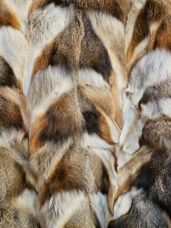 Miniatura de producto - 10