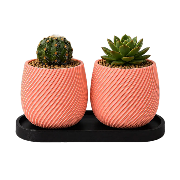 Producto - Set Macetas Gemelas con Bandeja - Ideal Cactus y Suculentas - 0