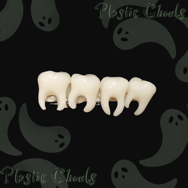 Producto - Hebillas Molar - 1
