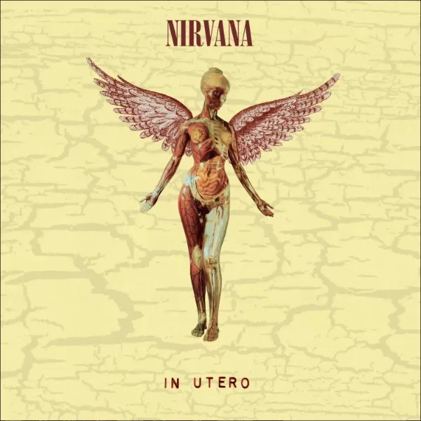 Producto - NIRVANA ÁLBUMS