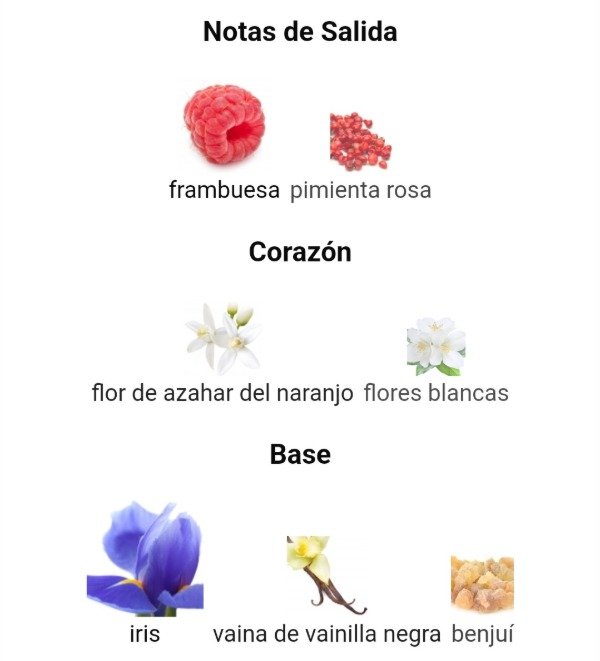 Producto - Perfume Majestic Opulence 80ml Zara - 2