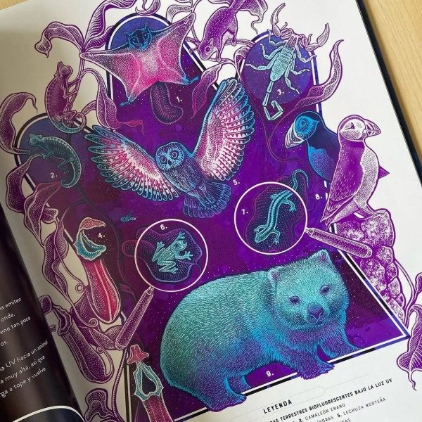 Miniatura de producto - 5